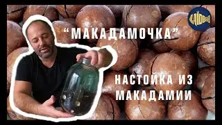 Макадамия настойка. Макадамочка