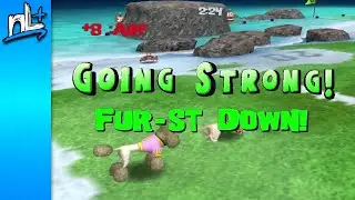 11-й ежегодный турнир newLEGACYinc Puppy Bowl!
