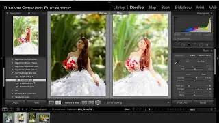 Pre Wedding Presets Demo