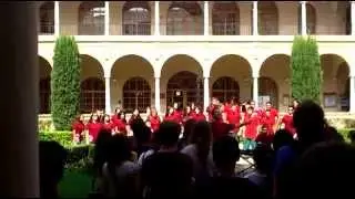 Welcome day of international students UMU 2011