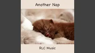 Another Nap