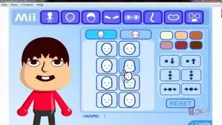 Hilarious Wii Simulator