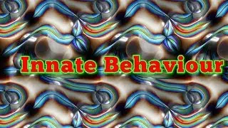 Innate behaviour in animals