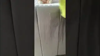 #satisfyingclean #velvet #satisfying #fun #fresh #viral