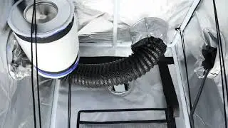 Grow Kit Stage 1 - Herbal House NZ