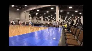 Charlie Grant Vanguard 17 gold Kelso highlights 