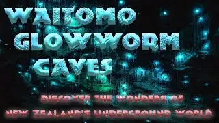 Waitomo Glowworm Caves: Discover the Wonders of New Zealand's Underground World