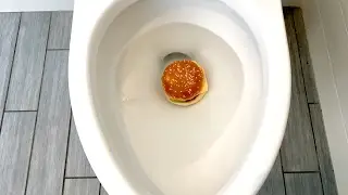 Will it Flush? - Burger King Cheeseburger