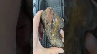 Colorful Jasper  #rockhound #rockhounding #mineral #gemstone #rockhunting #oregon #awesome #cool