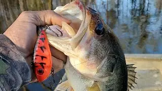 How to catch pre-spawning bass!!!  / My go to lures!