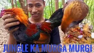 How to prepare|wild cock🐓|Forests Recipe🍛|North East Tripura|new cooking video