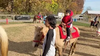 KIDS AT PUMPKIN FESTIVAL, RIDE PONY, HAYRIDES, GIANT SLIDES, MINI DIGGER