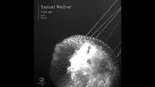 Samuel Wallner - Failed State