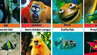 Finding Nemo & Kung Fu Panda Characters In Real Life | Animated vs. Real Animals