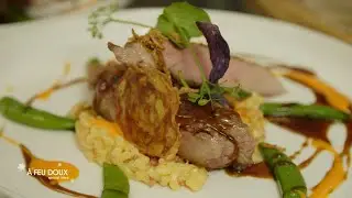 Pluma ibérique, pasotto
