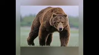 Інтегроване заняття 