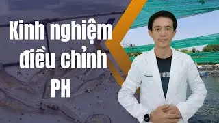 KINH NGHIỆM ĐIỀU CHỈNH PH HIỆU QUẢ.