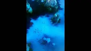 Feeding dota 2