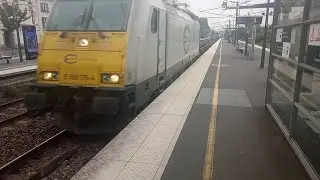 Passage de La E 186 176 - 4 de Chez Euro Cargo Rail Metz Sablons ➡️ Vaires Torcy voil&agrave; c'est tout 