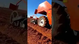 Miedema Belt Potato Planter