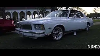 Monte Carlo On Swangas Posted At Macgregor Park In Houston Texas
