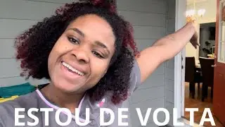 Estou de volta! Um dia na faxina nos EUA + mudanças na casinha alugada 🧡