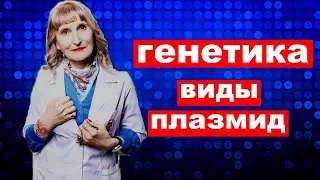 постулат # 151 генетика , виды плазмид