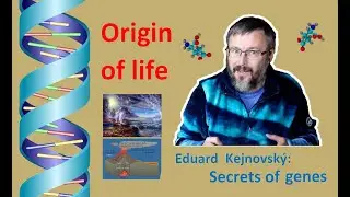 The origin of life (Secrets of Genes 14, EN Dub, TG2)