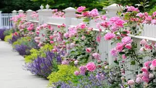 DREAMY! ENGLISH GARDEN PICKET FENCE DESIGN IDEAS | You Won't Believe How Beautiful a Fence Can Be!