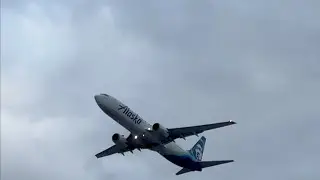 san spotting 13
