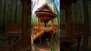 young people make houses from trees. #house #treehouse