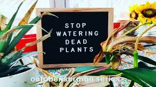 Stop Watering Dead Plants - Part 5 - Matthew 7 - Pastor Adam Issler - 11.5.23