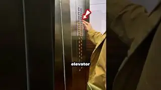 She Pressed Every Floor to Help a Lost Dog! #Shorts