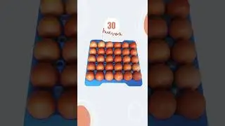 Bandejas Portahuevos Araven