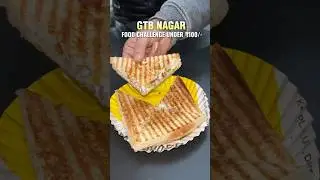 200₹ GTB Nagar Food Challenge 🤤😱 #yumvloger #foodchallenge #gtbnagar #vlog #streetfood #yt #momos