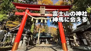 【冨士山下宮小室浅間神社】縁結びの御神木🌸紅葉が彩る癒しの参拝旅🍁