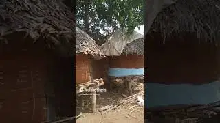 Old is Gold✨ | Traditional Wisdom from the Koya Tribe Badradri Kothagudem, Telangana #koya #old