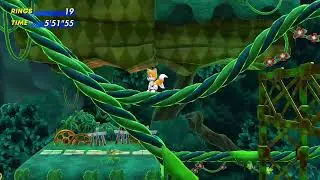 Tail did nothing in the vines Sonic Nintendo Switch 2
