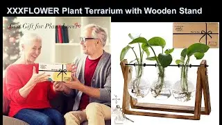 XXXFLOWER Plant Terrarium with Wooden Stand