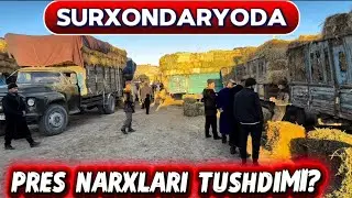 PRES NARXLARI OLTINSOY MIRSHODI BOZORIDA