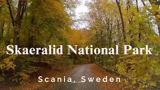 Skaeralid National Park, Scania Sweden