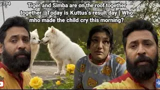 Tiger & Simba are on the roof | Today is Kuttus's result day | Who made the child cry this morning?
