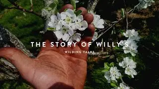 From Tyrell's Potato Chips to Willy's Apple Cider Vinegar (Willy's ACV)