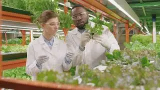 Kay Townsend Expert Spotlight - Plant Sciences Feed the World