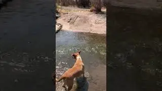 Little Colorado River Wildlife & Hiking Area Springerville AZ