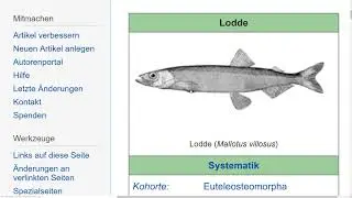 Lodde vs John Cena