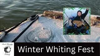 The Whiting Are Biting | Boat Fishing For Whiting | How To Catch Whiting | Wicked Whiting Uk