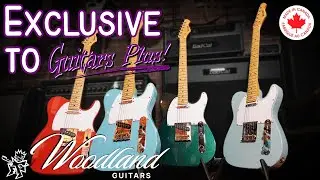 Introducing Woodland Guitars | Competitive & Classy 