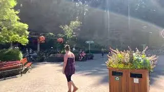 Budget gardens , Victoria.
