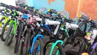 Dream cycle store